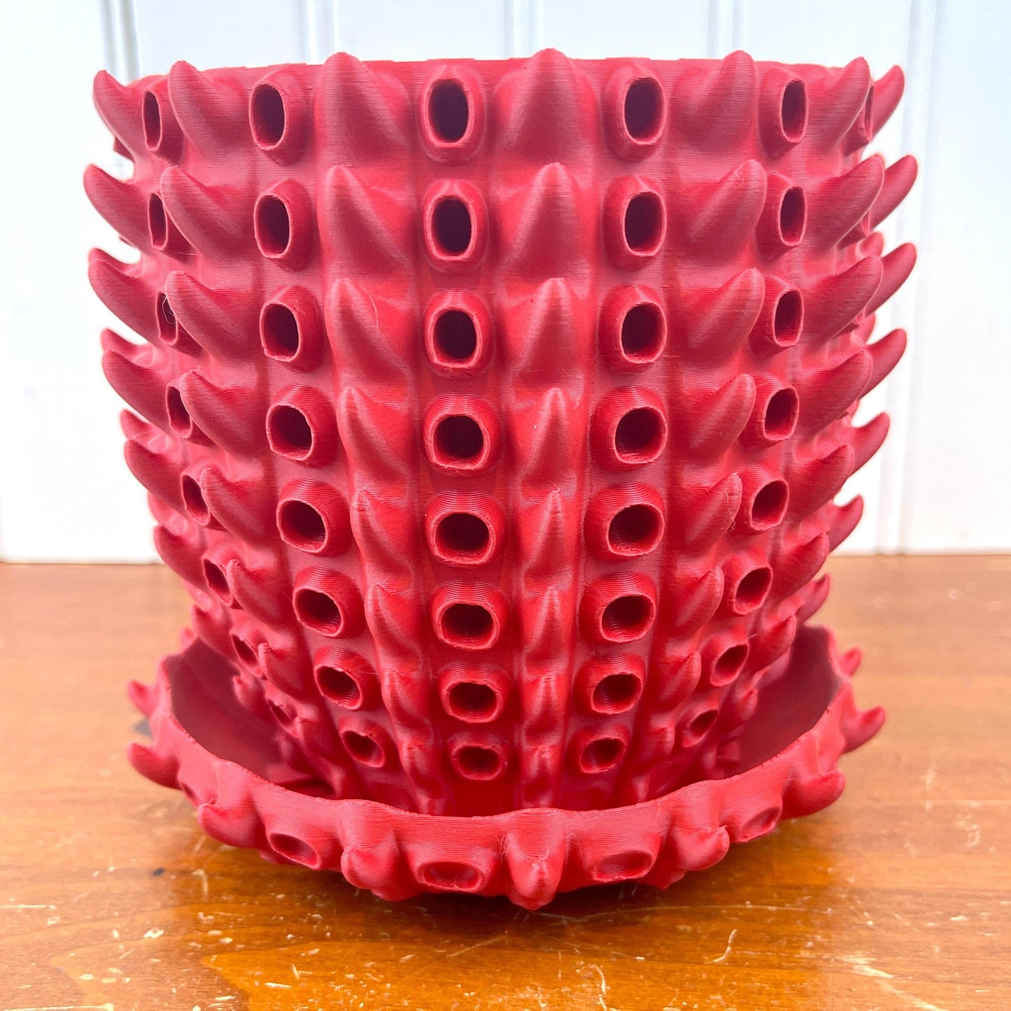 Barnacle Planter Pot, Indoor Flower Pot