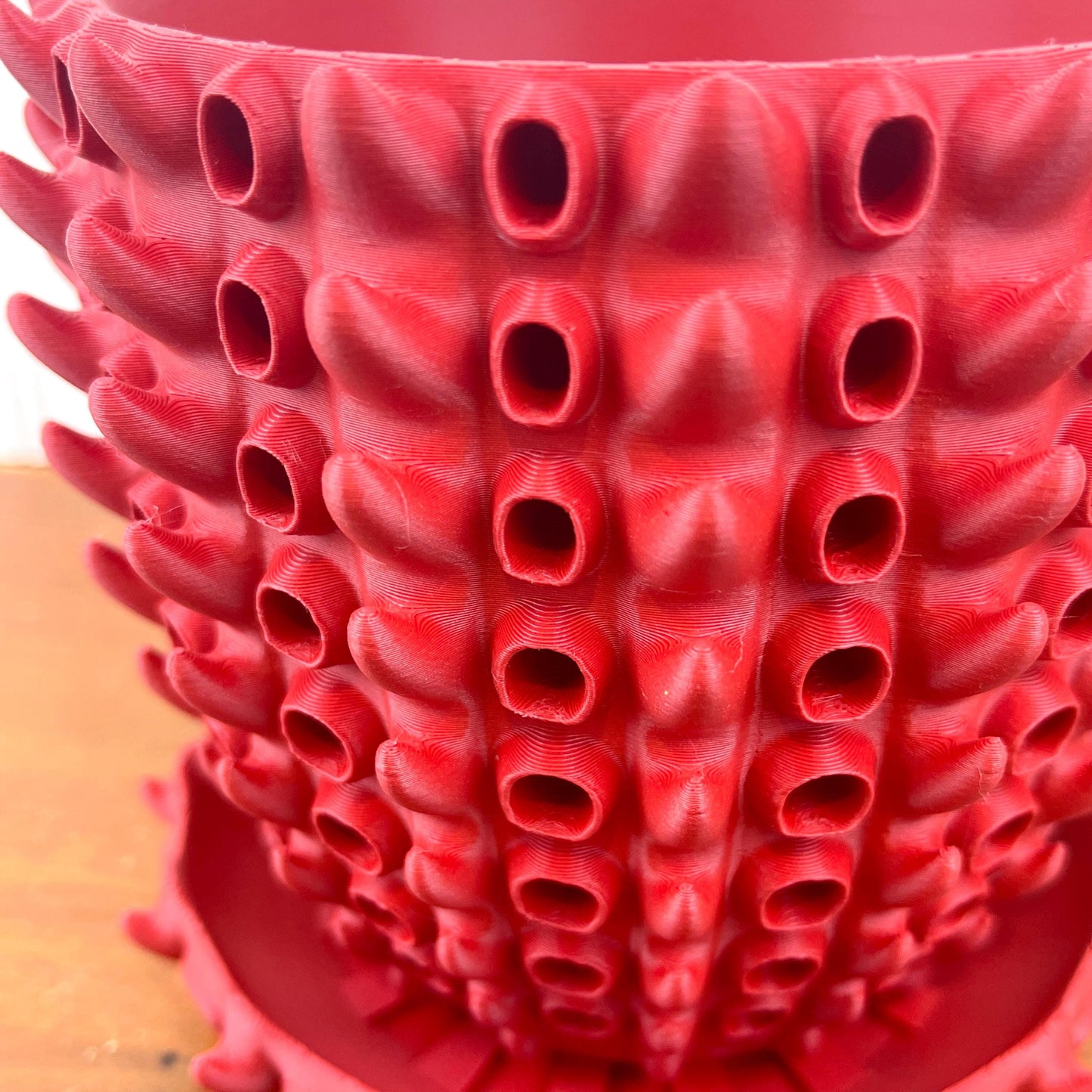 Barnacle Planter Pot, Indoor Flower Pot