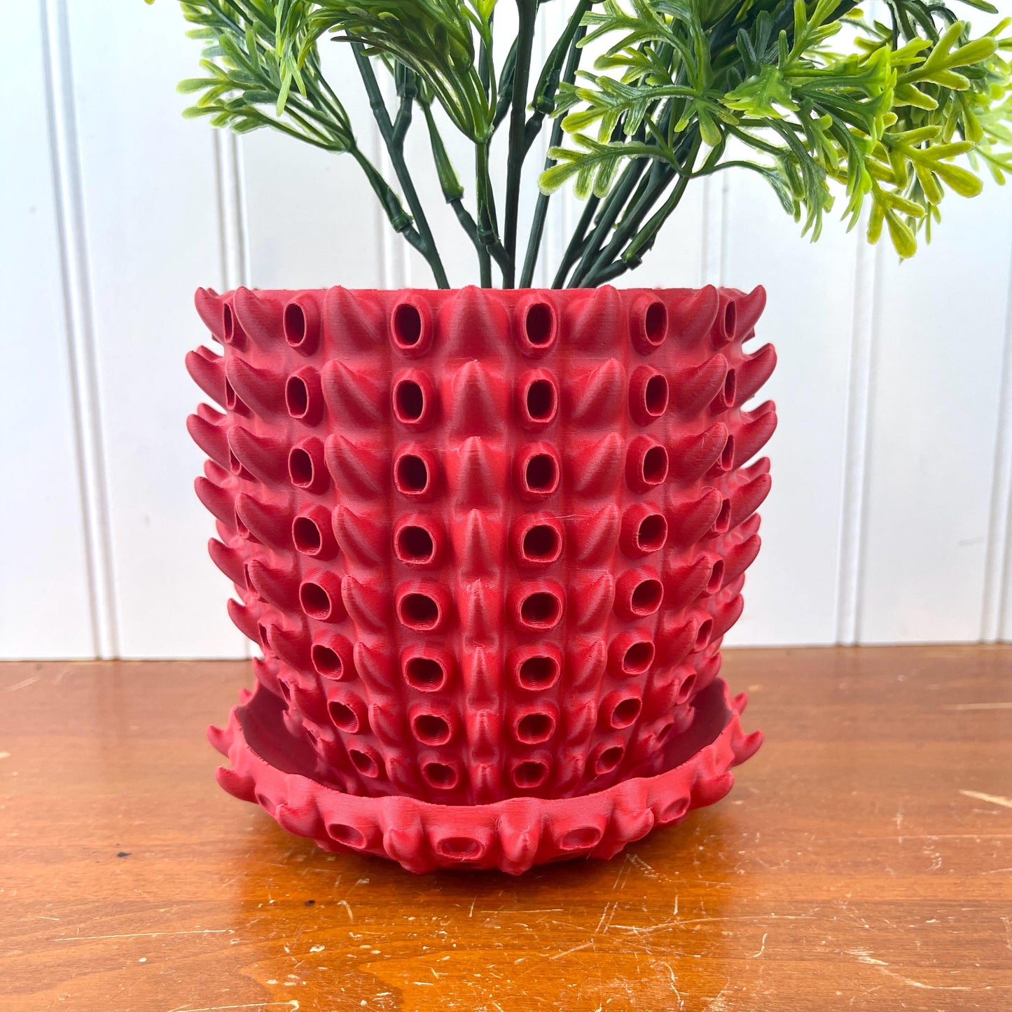 Barnacle Planter Pot, Indoor Flower Pot