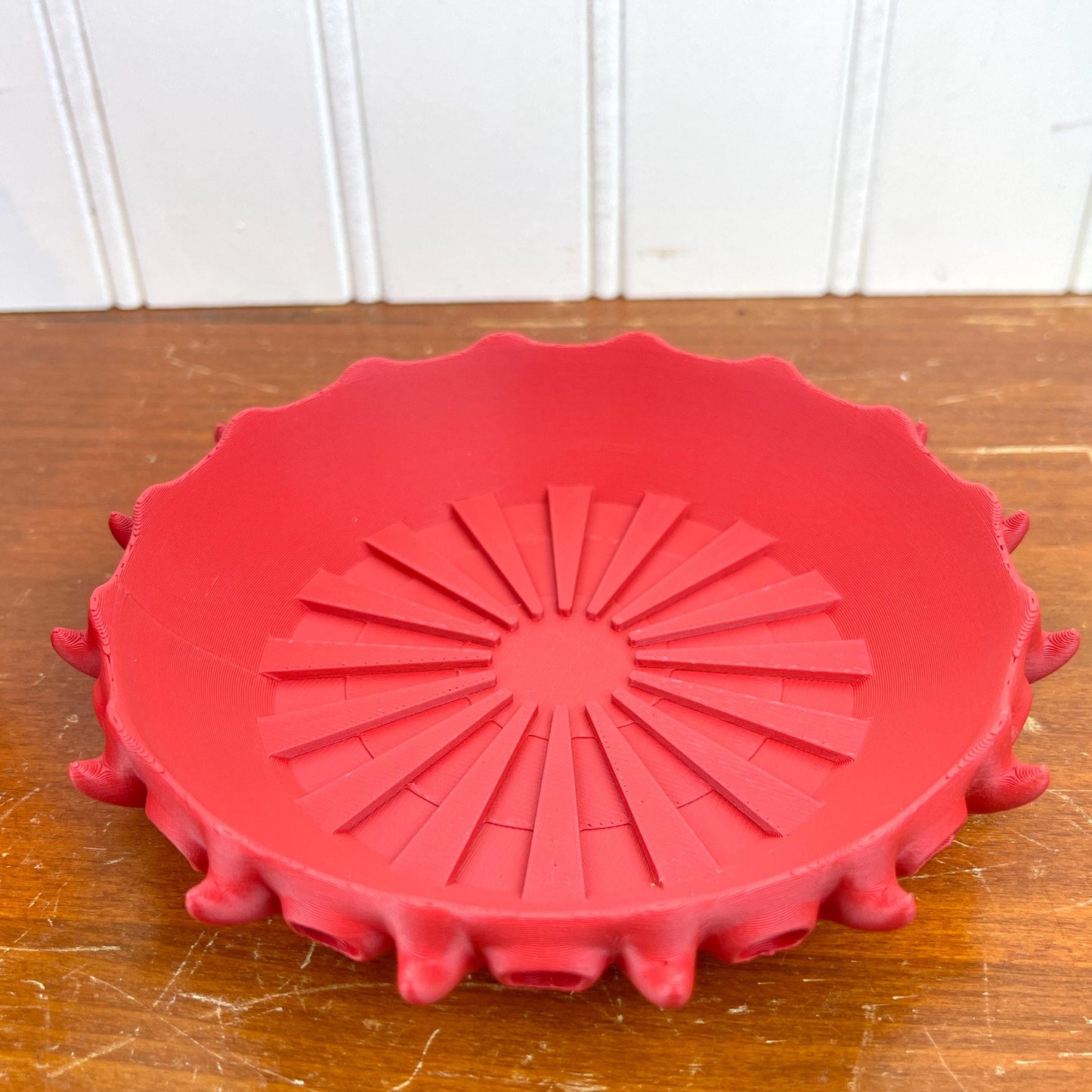 Barnacle Planter Pot, Indoor Flower Pot
