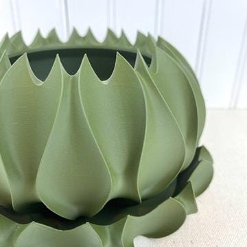 Abyssal Planter Pot, Flower Pot, Cactus-Inspired Planter with Drainage Tray