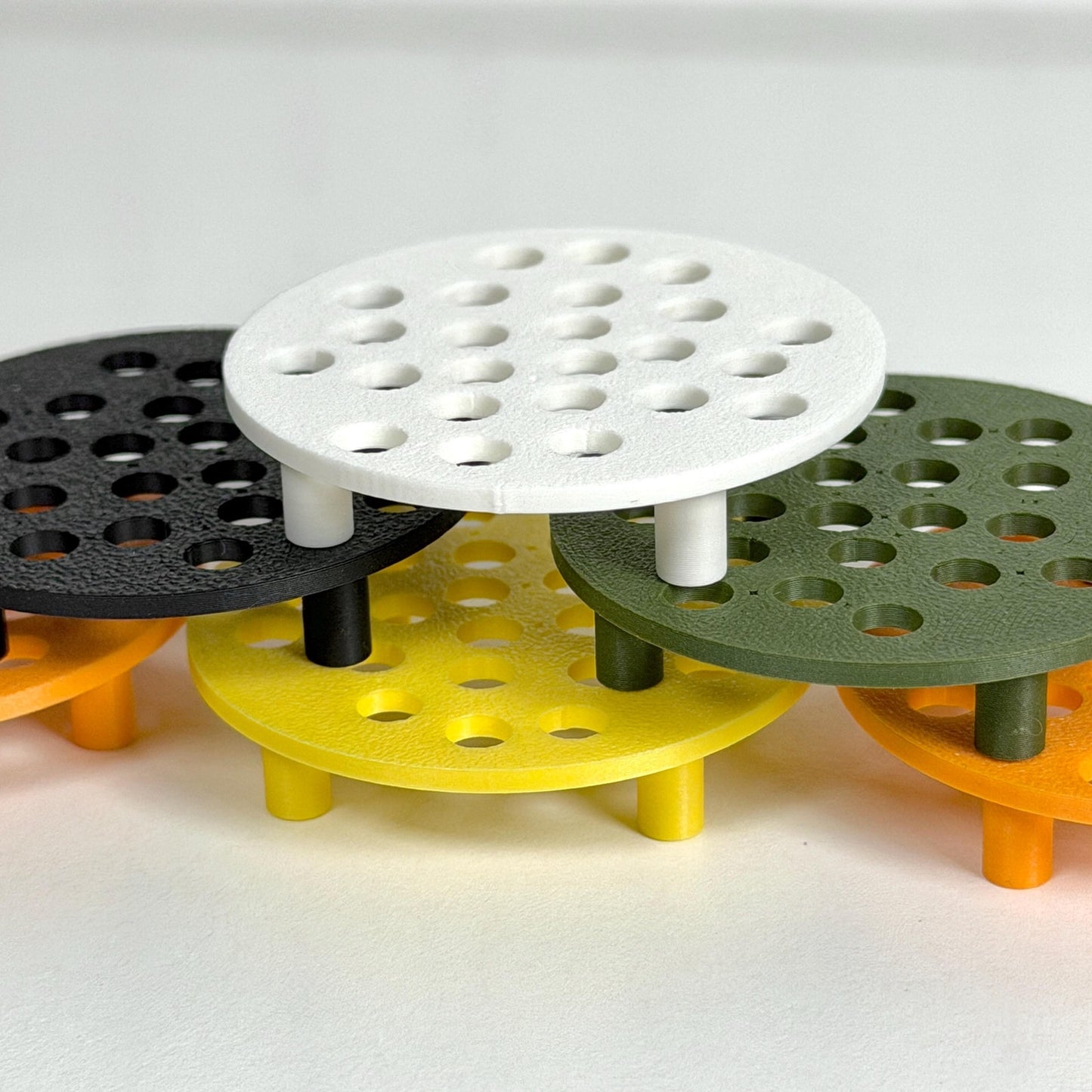 Corm Risers, Alocasia Corms Propagation Disks,