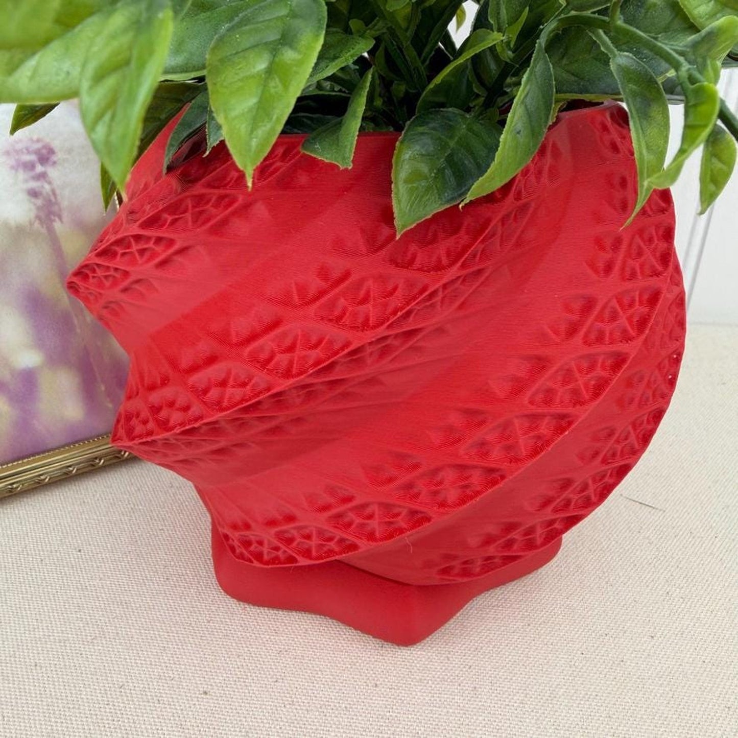 The Shell Planter, Indoor Flower Pot, Tabletop Planter, Spiral Planter