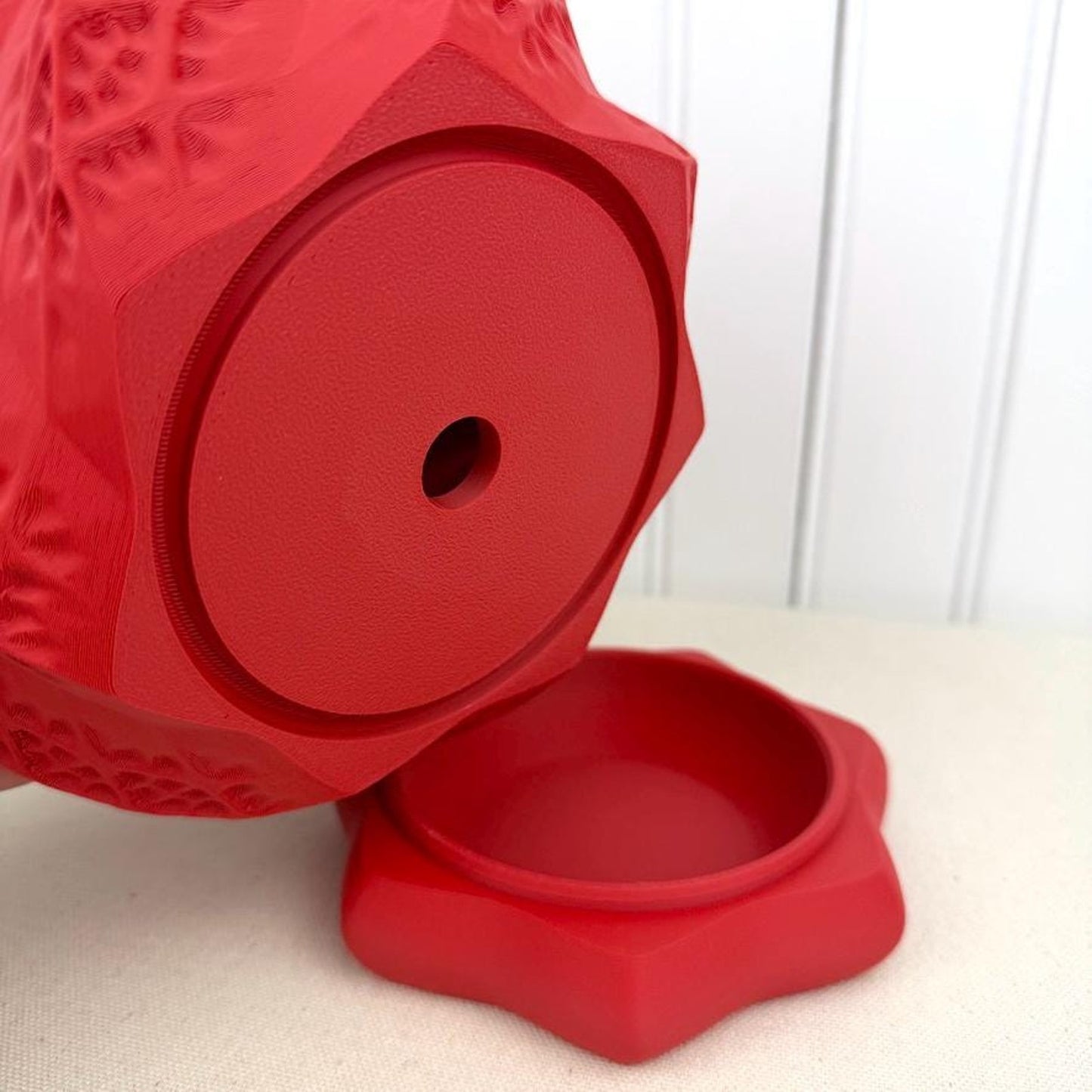 The Shell Planter, Indoor Flower Pot, Tabletop Planter, Spiral Planter