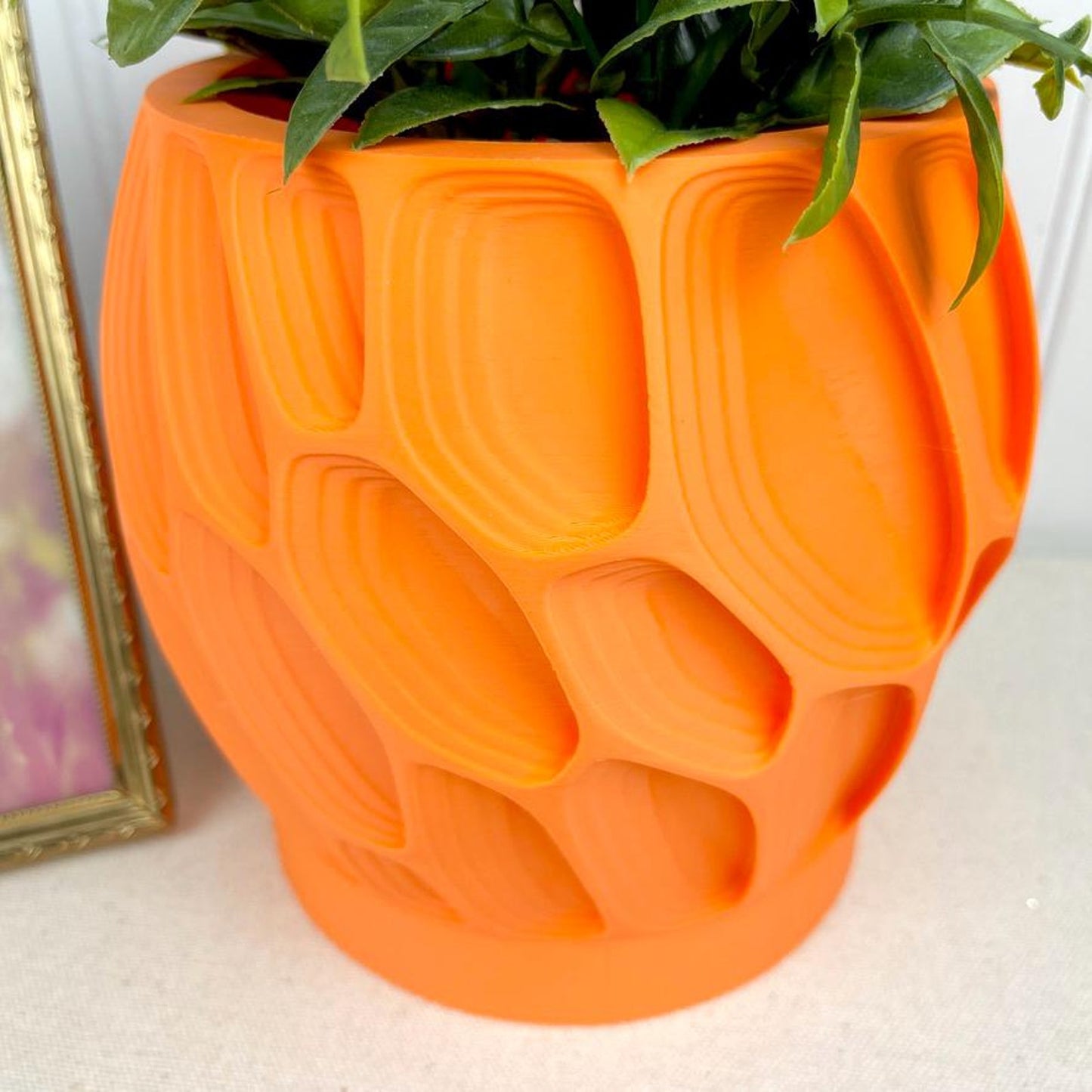 Ringo Planter Pot: Modern Geometric Planter, Indoor Flower Pot, Tabletop Planter, Organic Texture