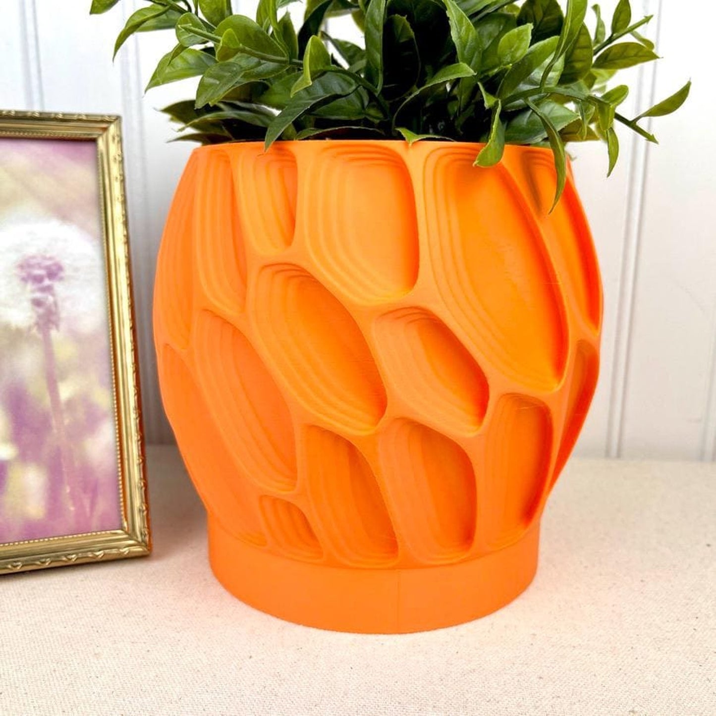Ringo Planter Pot: Modern Geometric Planter, Indoor Flower Pot, Tabletop Planter, Organic Texture