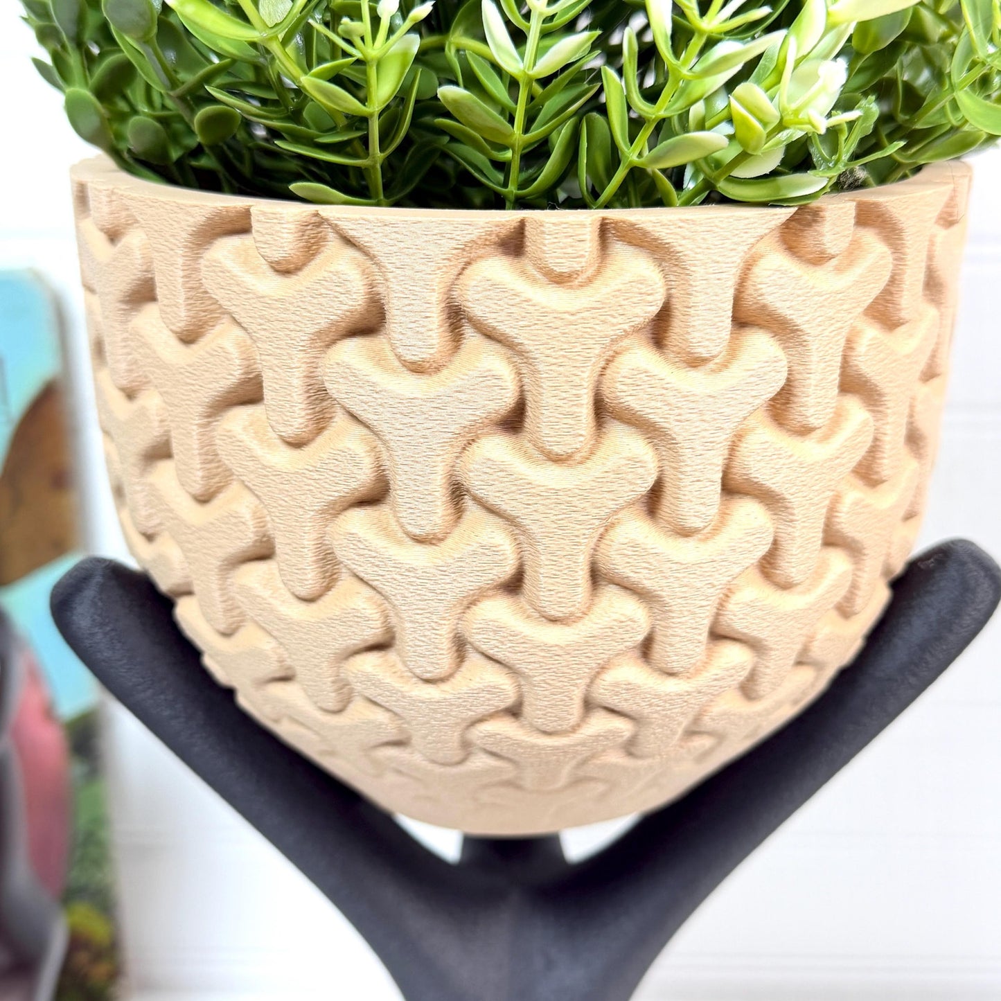 Triova Cachepot, Indoor Tabletop Cache Pot, Planter Pot, No Drainage Holes, Elevated Design