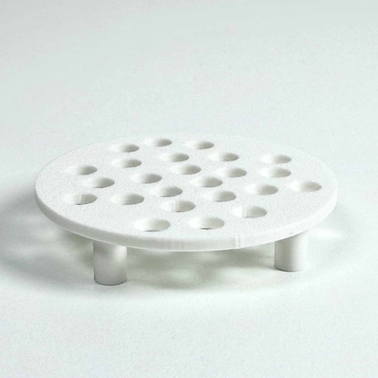 Corm Risers, Alocasia Corms Propagation Disks,