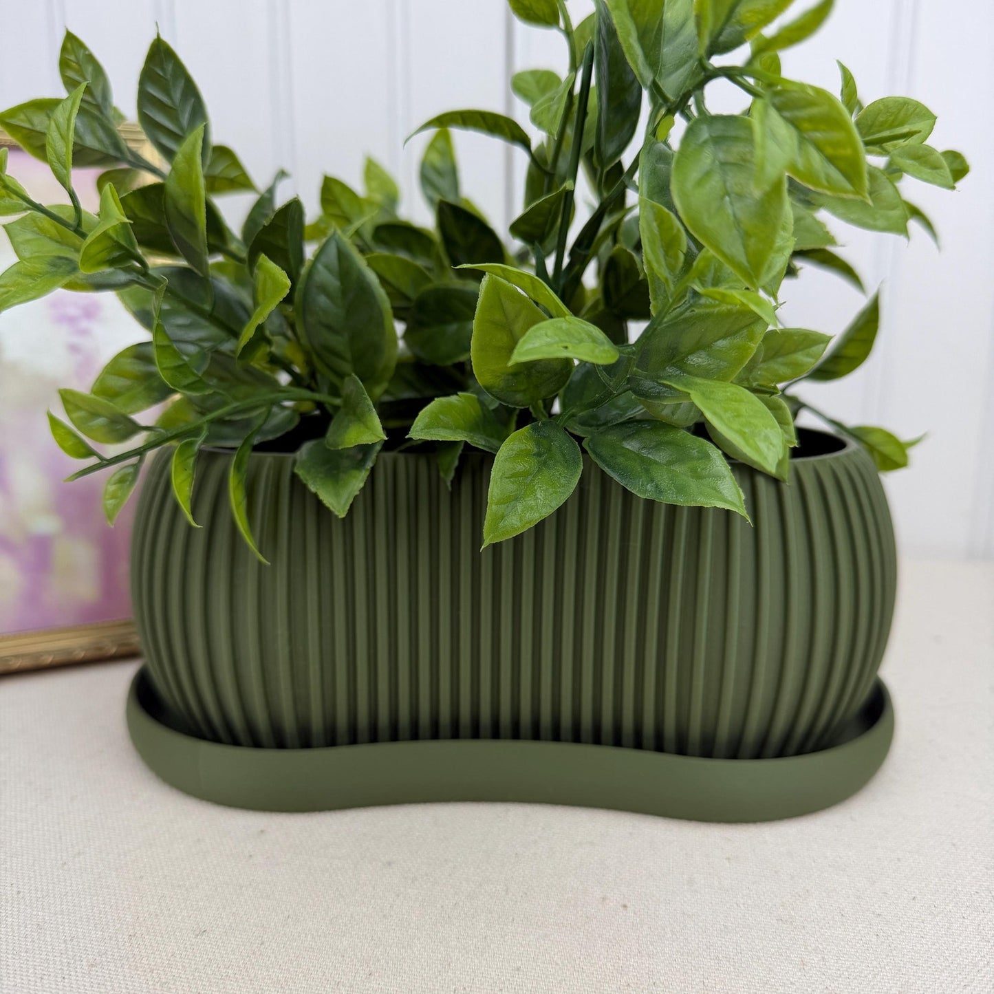 Terra Planter, Indoor Planter with Drainage Tray, Tabletop Planter, Ridged Kidney Bean Shaped