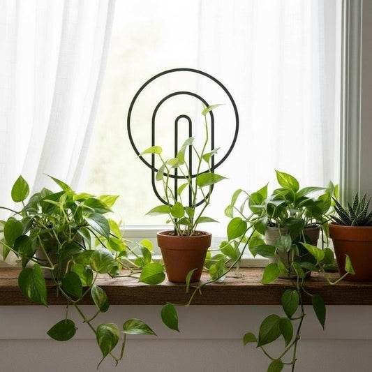 Circle Shaped Plant Trellis, Modern Plant Support, Indoor Garden Decor, 11.875" tall