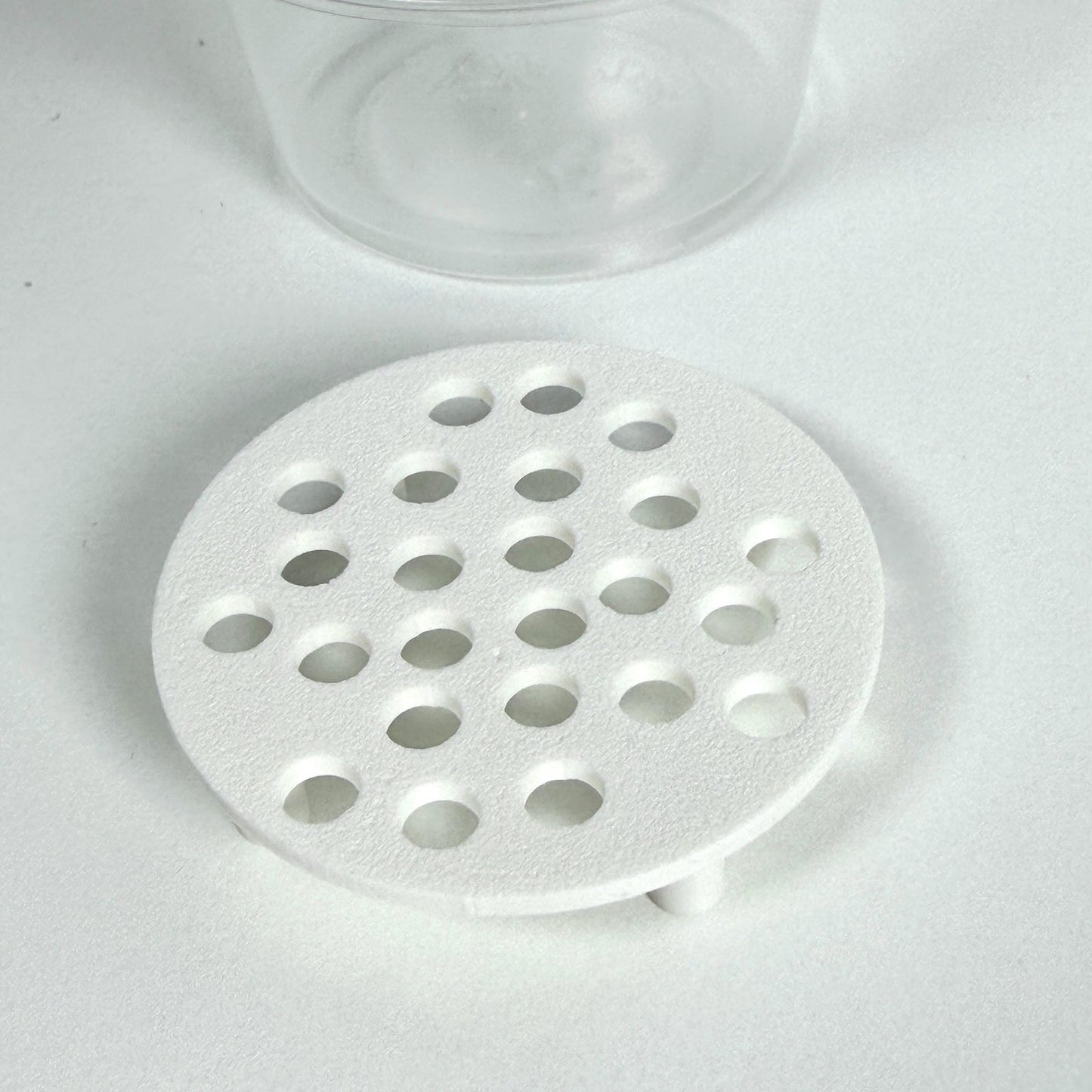 Corm Risers, Alocasia Corms Propagation Disks,