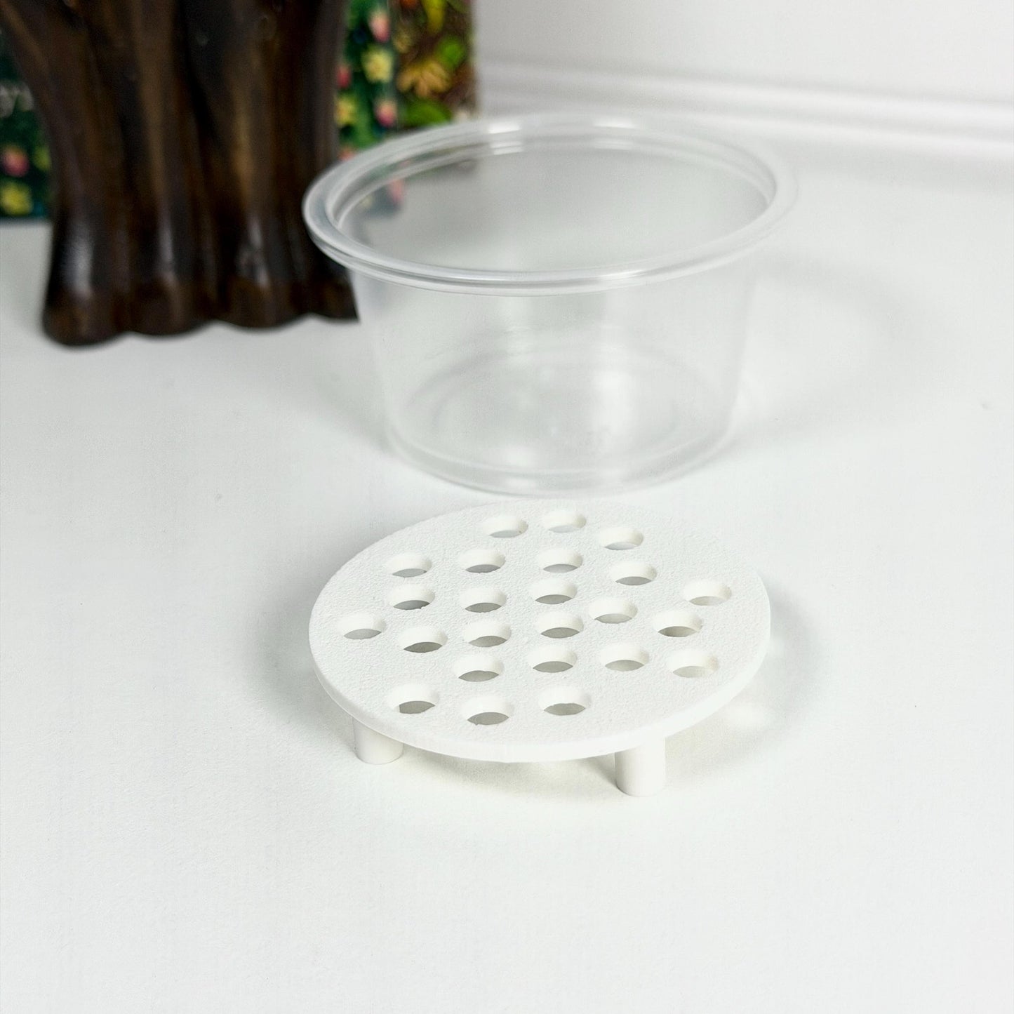 Corm Risers, Alocasia Corms Propagation Disks,