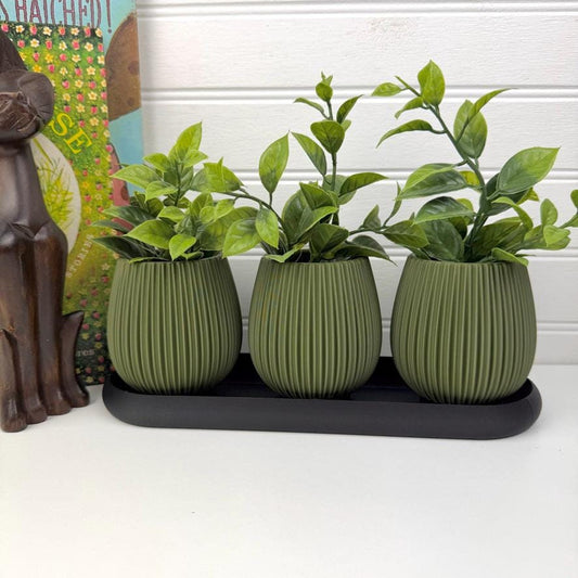 Baleal Planter, Indoor Flower Pot, Tabletop Planter, Small Herb Pots
