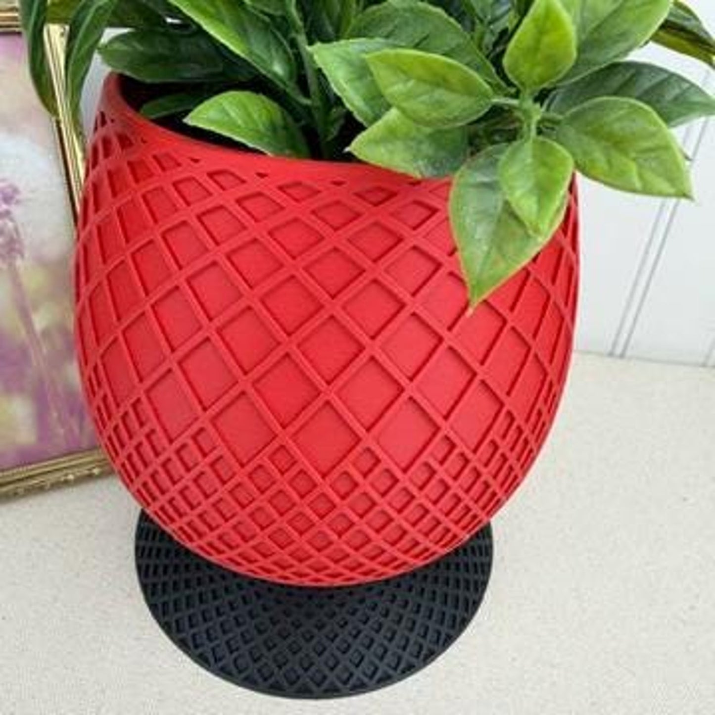 The Miro Planter, Indoor Flower Pot, Tabletop Planter. Lattice Design