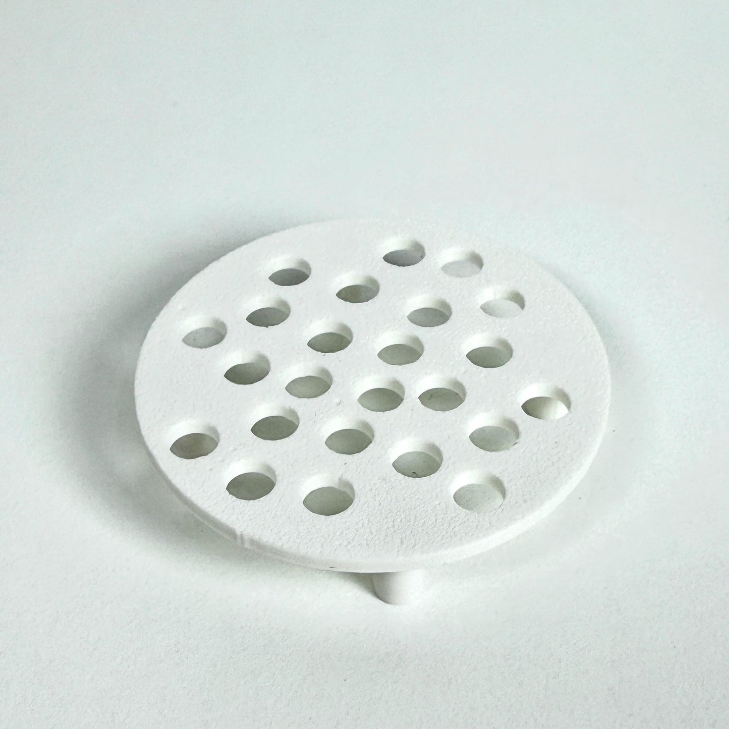 Corm Risers, Alocasia Corms Propagation Disks,