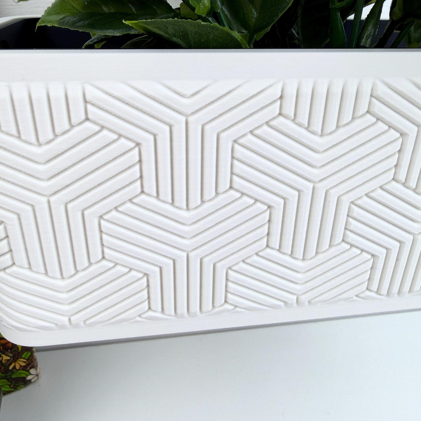 Geometrix Wall Planter, Indoor Hanging Plant Pot, Modern Geometric
