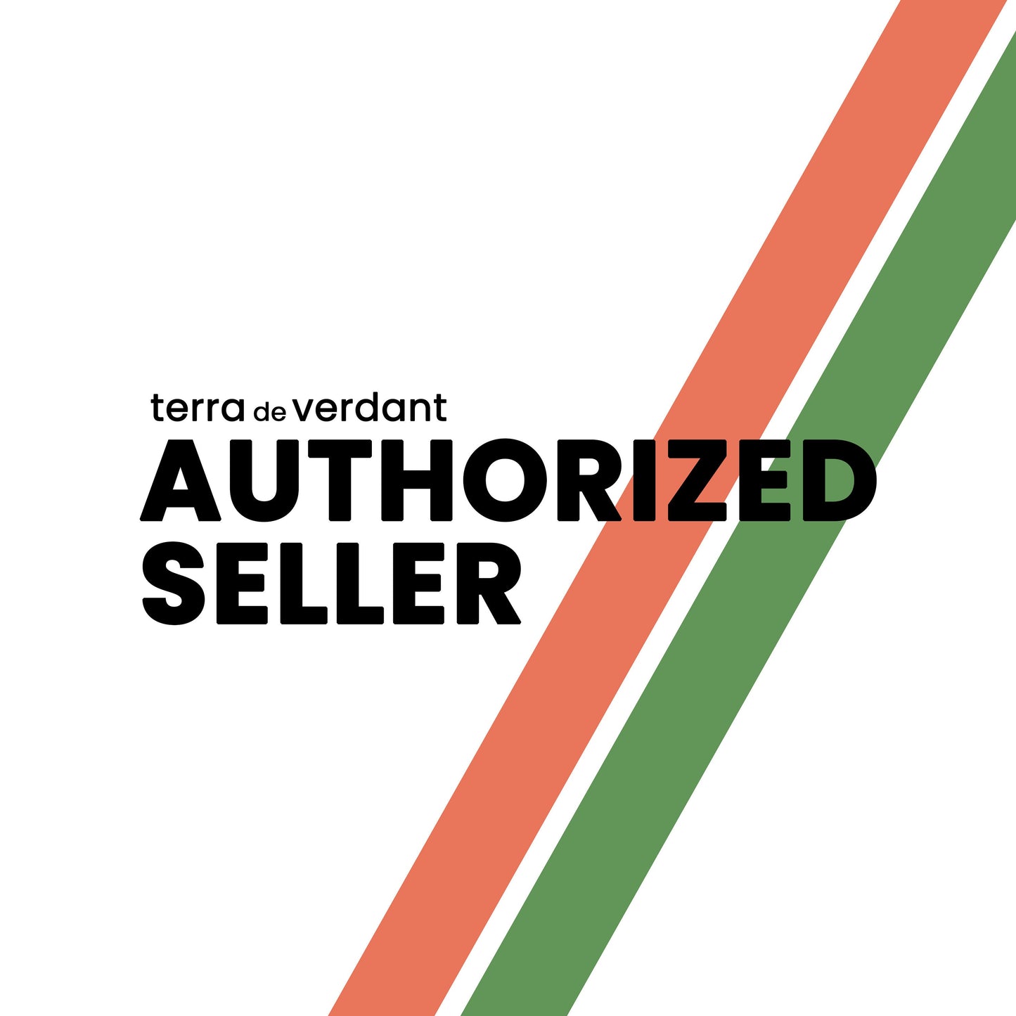 The Ilios Pen Holder, Pencil Holder, Desk Organizer