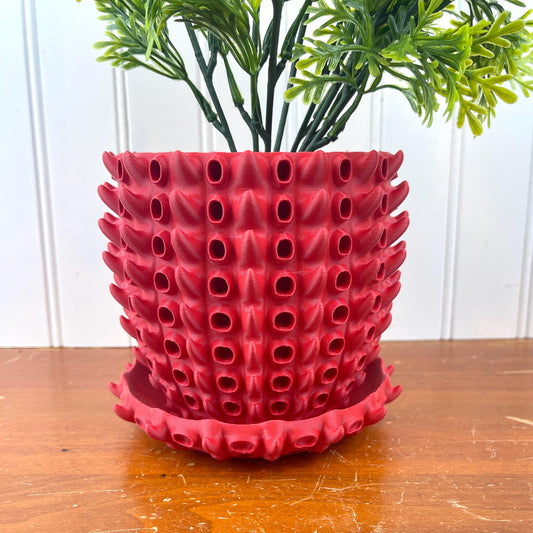 Barnacle Planter Pot, Indoor Flower Pot