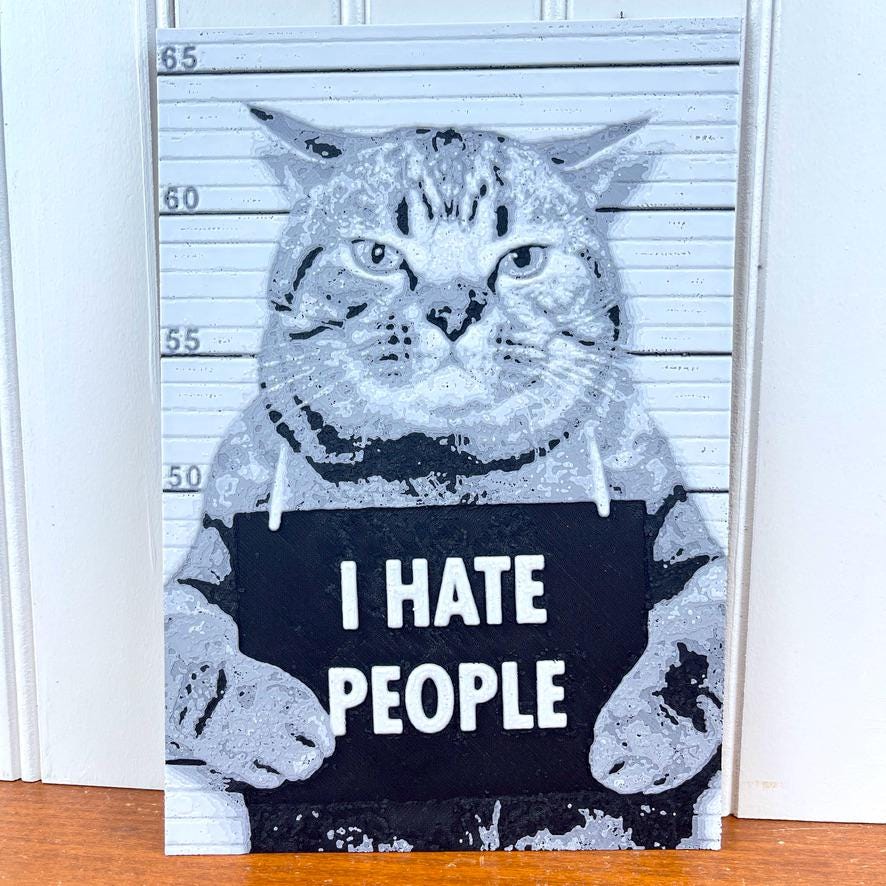Wall Art, Funny Cat Mugshot, "I Hate People", Sassy Cat, Cat Lover Gift, Cat Attitude