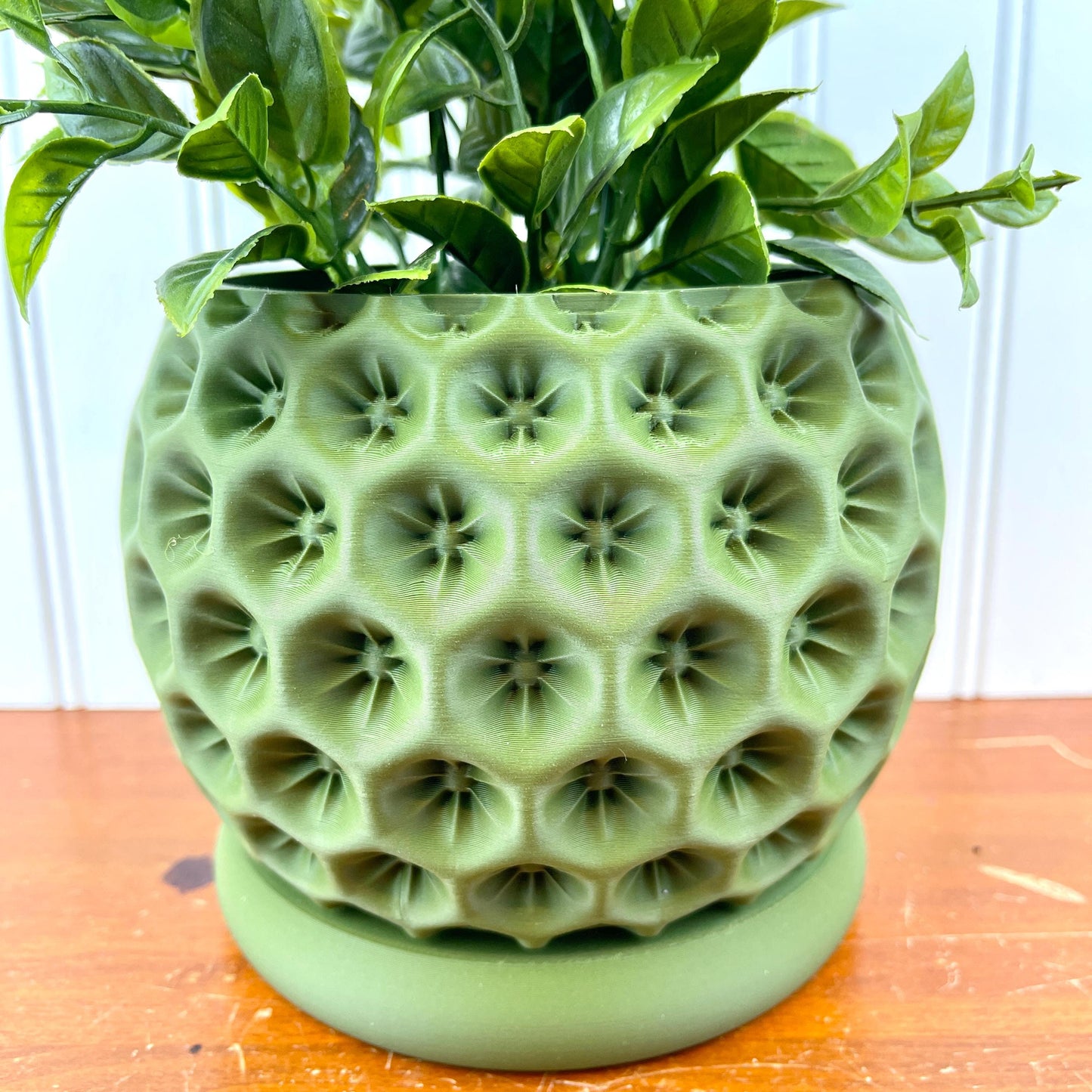 Modern Geometric Planter with Drainage Tray, Starry Planter Pot, Modern Succulent & Houseplant Pot, Honeycomb Design