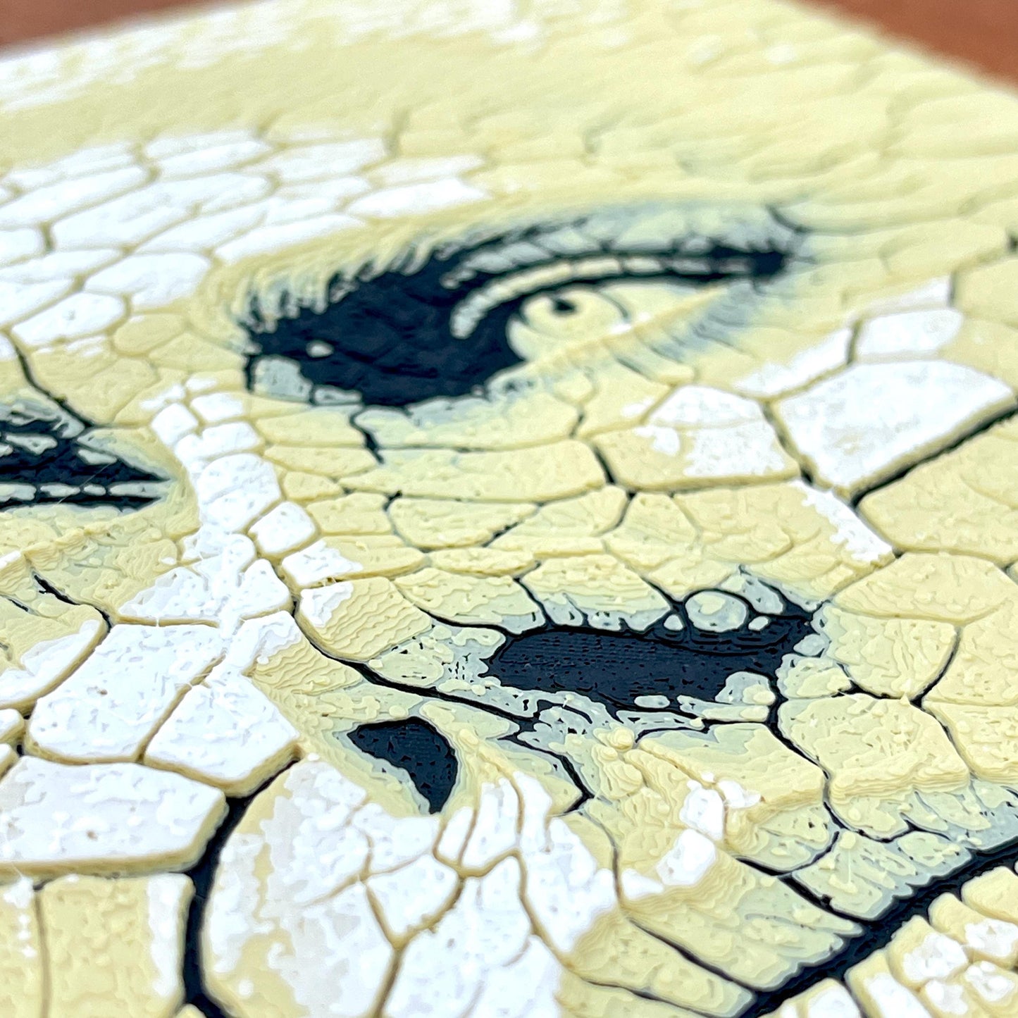 Hueforge Wall Art, Face in the Desert, Surreal Cracked Earth Face Texture