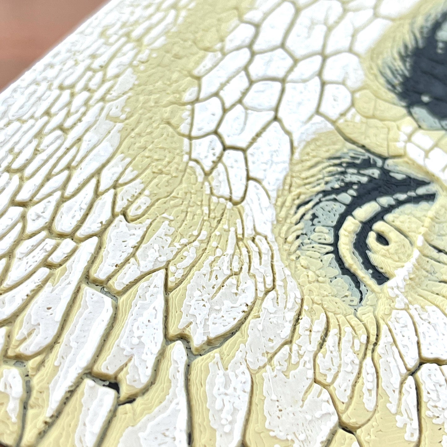 Hueforge Wall Art, Face in the Desert, Surreal Cracked Earth Face Texture