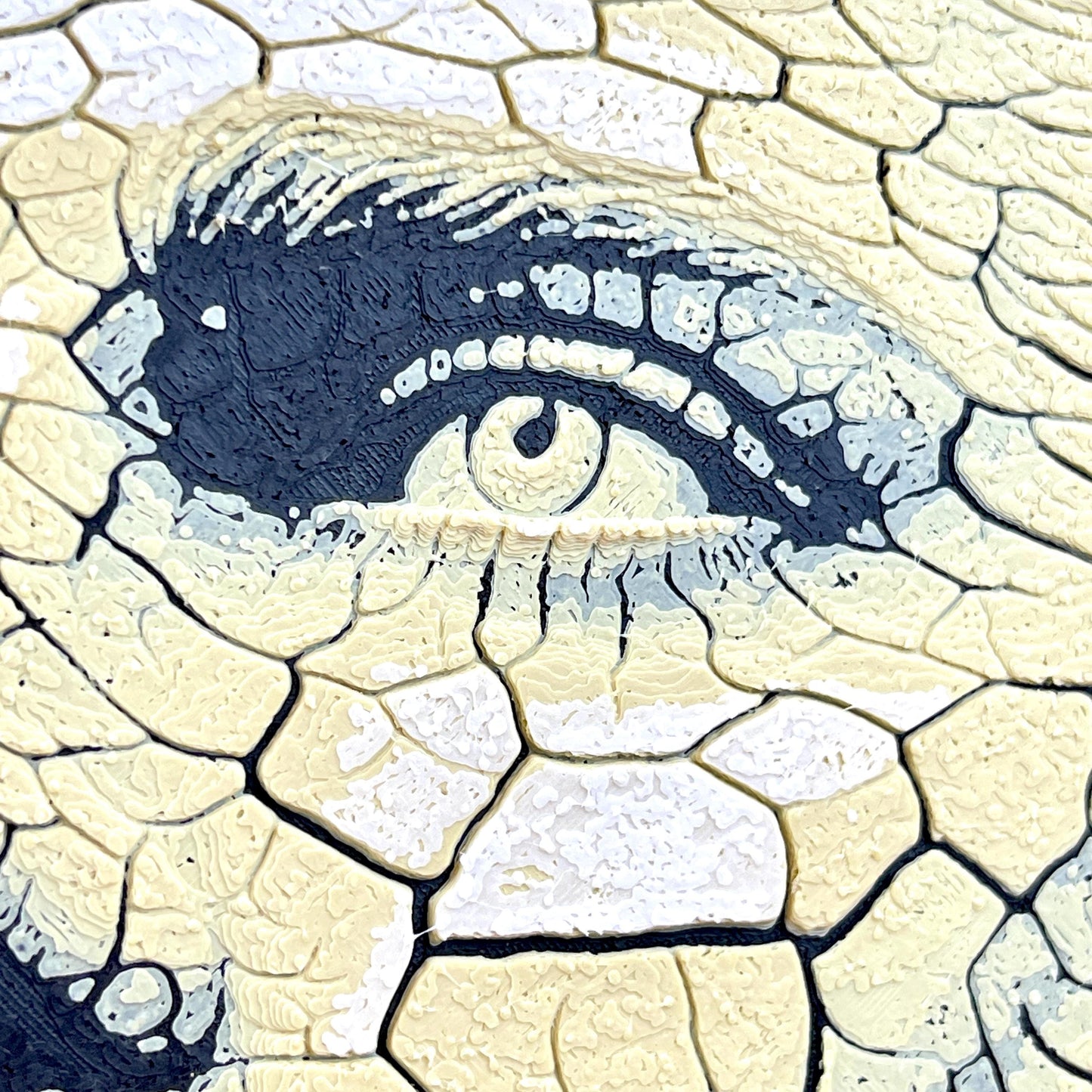 Hueforge Wall Art, Face in the Desert, Surreal Cracked Earth Face Texture